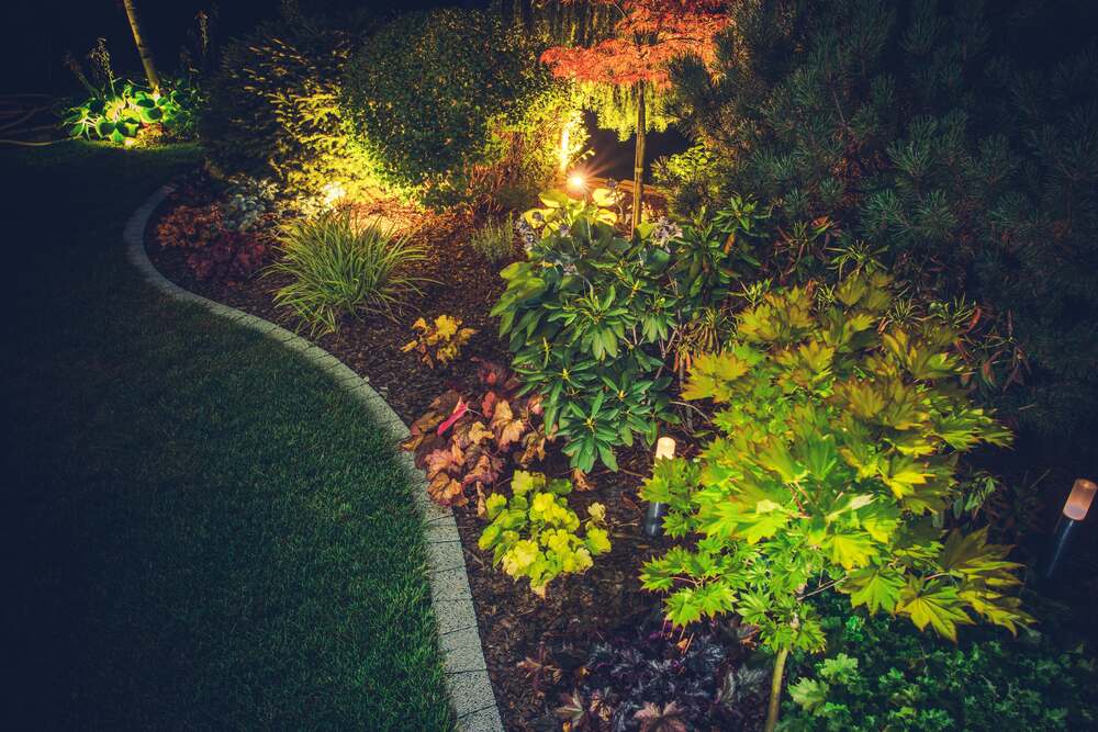 Transform Your Outdoor Space with Professional Landscape Lighting